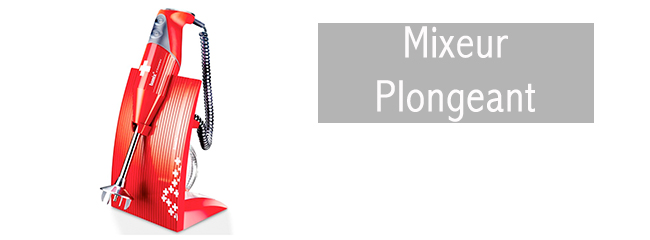 mixeur-plongeant